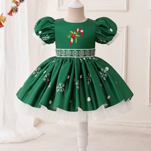 Robes de Noël Plissées à Manches Bouffantes et Coupe A-Line/Princess pour Filles